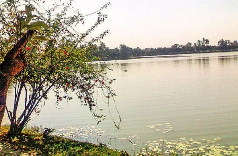 নীলসাগরে দেখা মিলছে না অতিথি পাখি