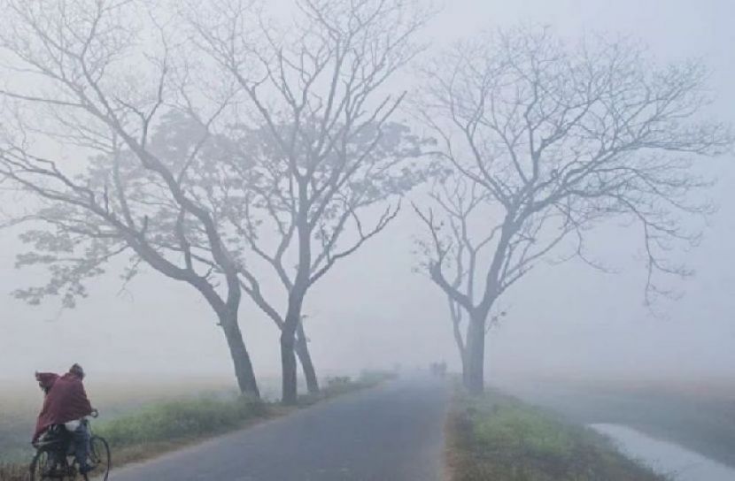 ছবি সংগৃহীত