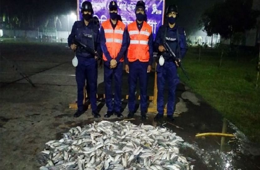 যাত্রীবাহী বাসে মিললো ৫ মণ জাটকা