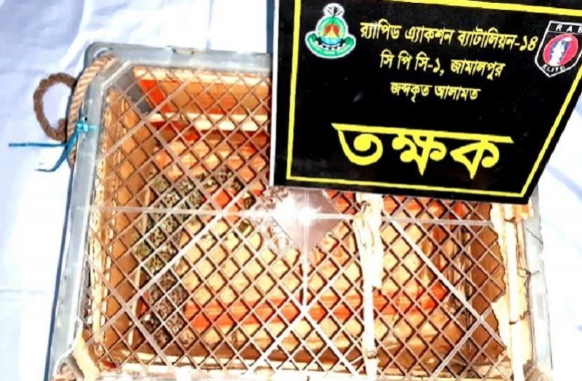 ছবি: তক্ষক