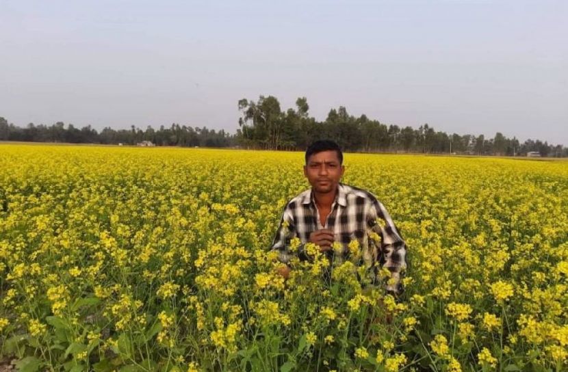 উলিপুরে পরিত্যাক্ত বিলে স্বপ্ন বুনেছে কৃষক 