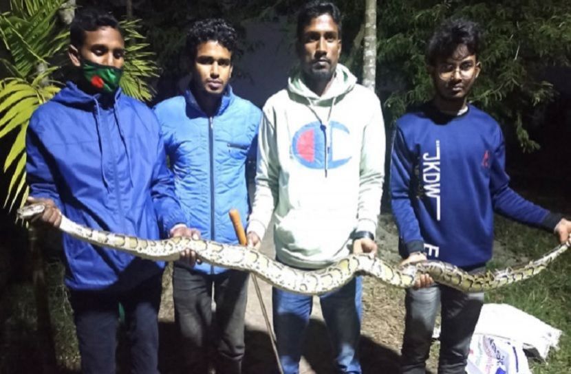 ছবি: সংগৃহীত