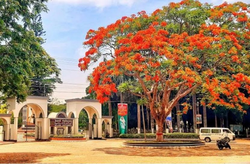ইসলামী বিশ্ববিদ্যালয় (ছবি: সংগৃহীত)