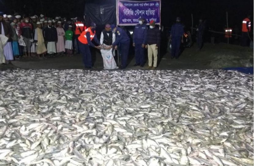 হাতিয়ায় ১৪০ মণ জাটকা জব্দ