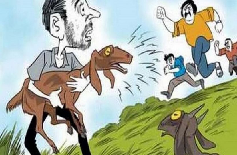 সরিষাবাড়ীতে গাভিন ছাগল চুরি করে জবাই, আটক ৩