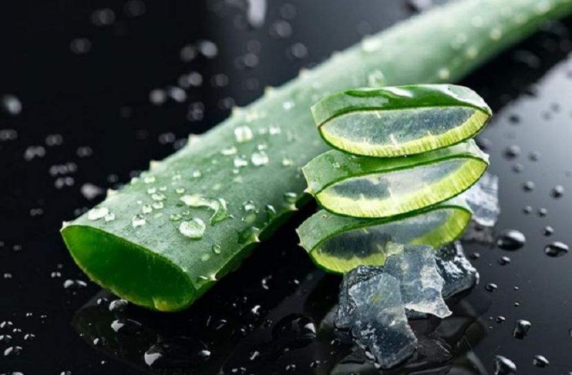 অ্যালোভেরা