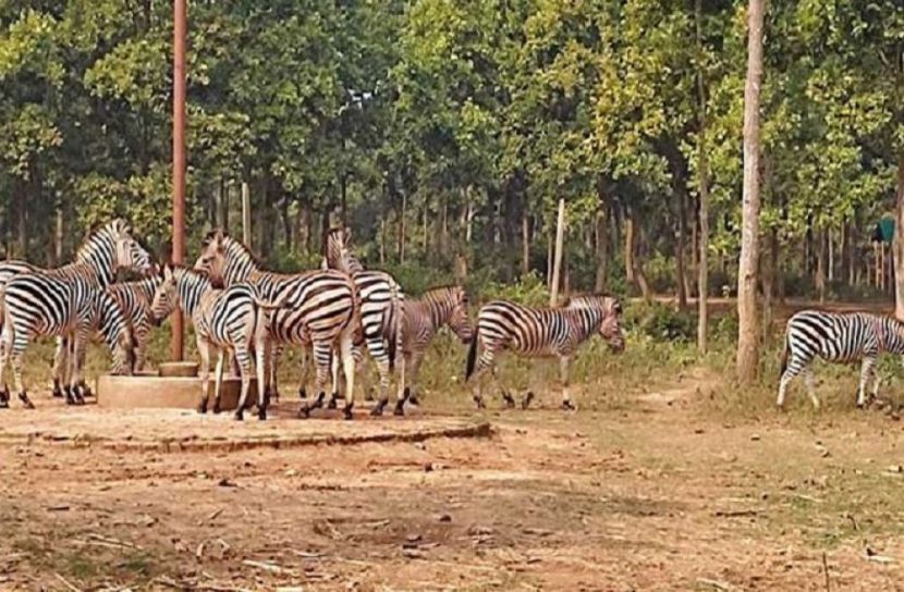 ছবি-সংগৃহিত