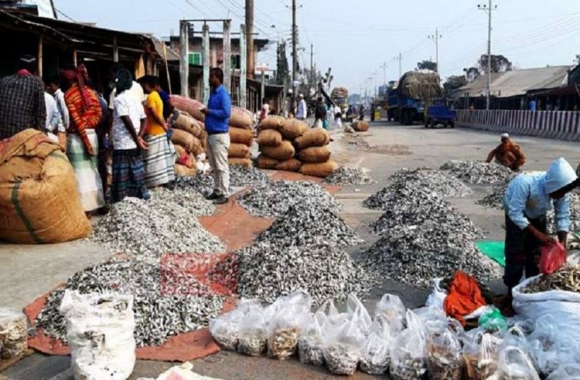 সৈয়দপুরে শুঁটকি ব্যবসায় মন্দাভাব