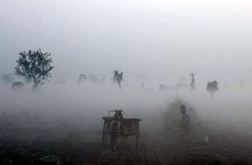 ছবি-সংগৃহিত