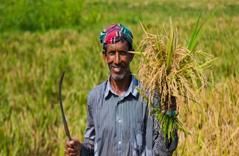 কৃষক (ছবি: সংগৃহীত)