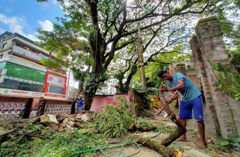 বাড়ির গাছ কাটতেও লাগবে অনুমতি