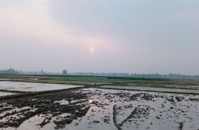 হিলিতে কমেছে শীত
