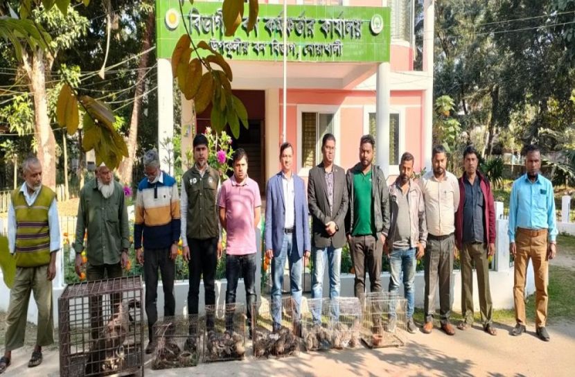 নোয়াখালীতে ৪৯ পাখি অবমুক্ত
