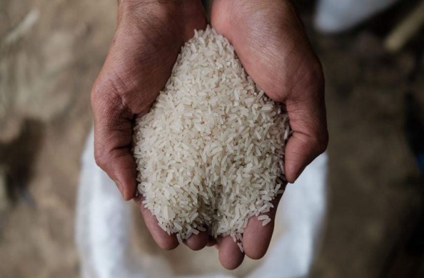 বাড়বে না চালের দাম