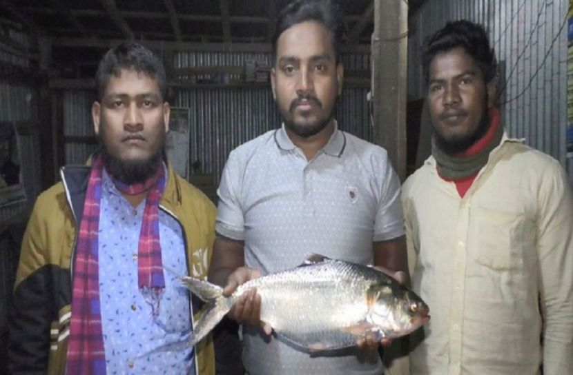 ছবি- সংগৃহিত