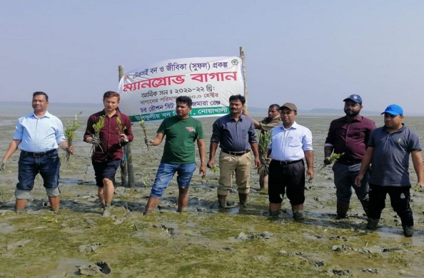 মেঘনার চরে ৫০ লক্ষ কেওড়া গাছের চারা রোপন