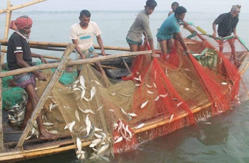মঙ্গলবার থেকে অভয়াশ্রমে মাছ ধরা নিষিদ্ধ