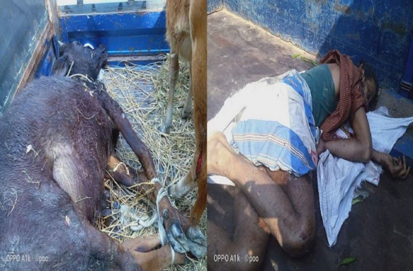 গরু চুরি করে পালাতে গিয়ে গাড়ি উল্টে চোরের মৃত্যু।