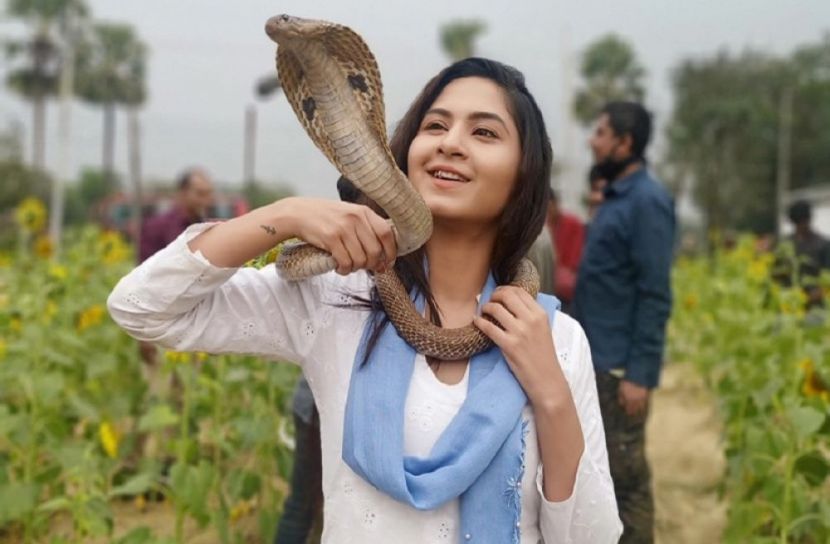 অর্চিতা স্পর্শিয়া