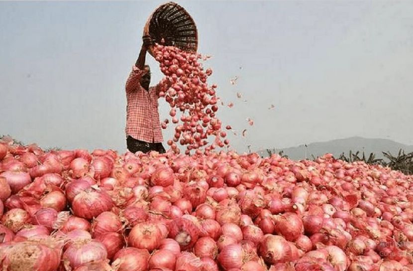 পানির দামে পেঁয়াজ বিক্রি