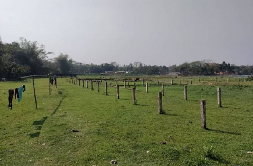 চাষের আওতায় আসছে সিলেটের পতিত জমি