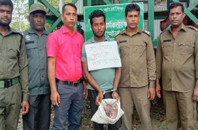 ছবি- সংগৃহিত
