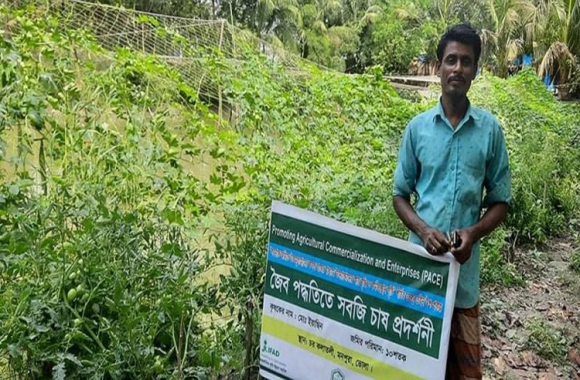 মনপুরায় সবজি চাষীদের সাফল্য লাভের আশা