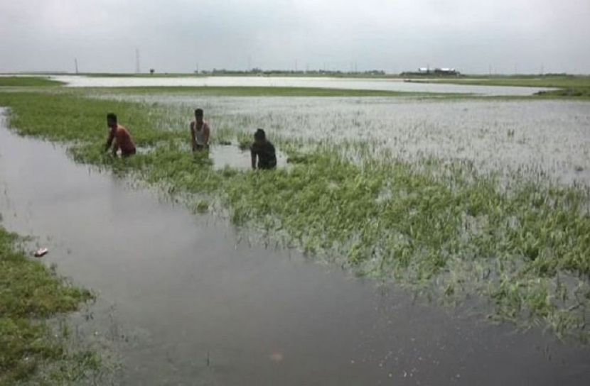 ছবি-সংগৃহিত