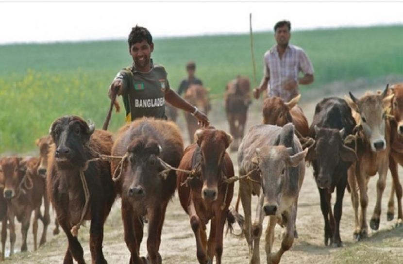 প্রতীকী ছবি