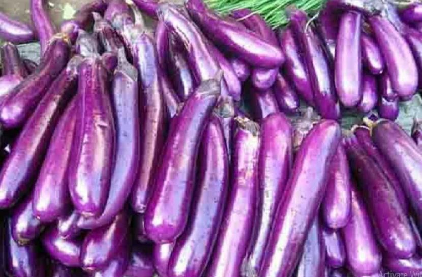 রাজধানীতে বেগুনের সেঞ্চুরি!
