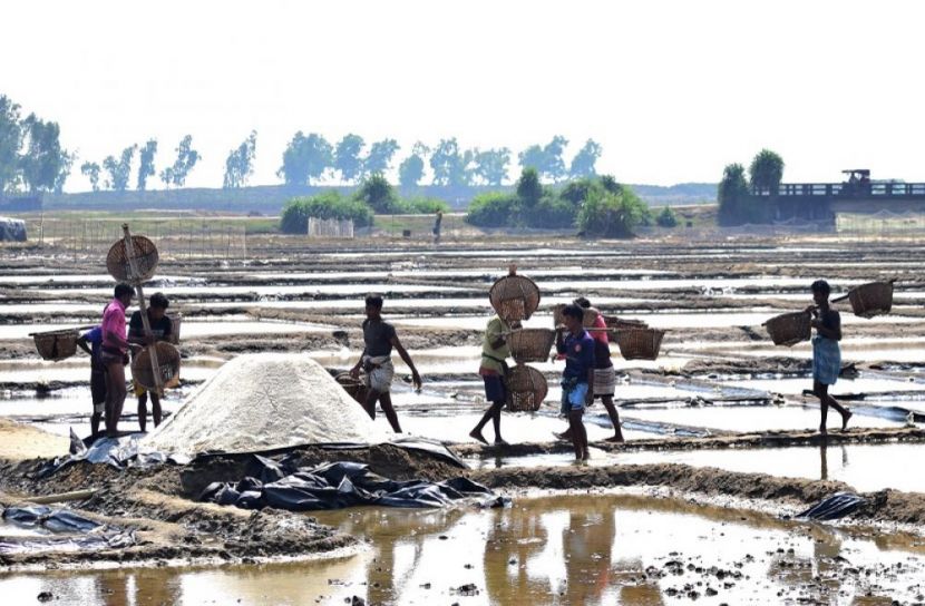 হতাশায় ভুগছে চাষীরা