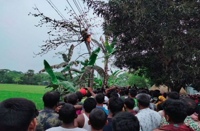 ঈশ্বরগঞ্জে বিদ্যুৎস্পৃষ্টে বৃদ্ধের মৃত্যু