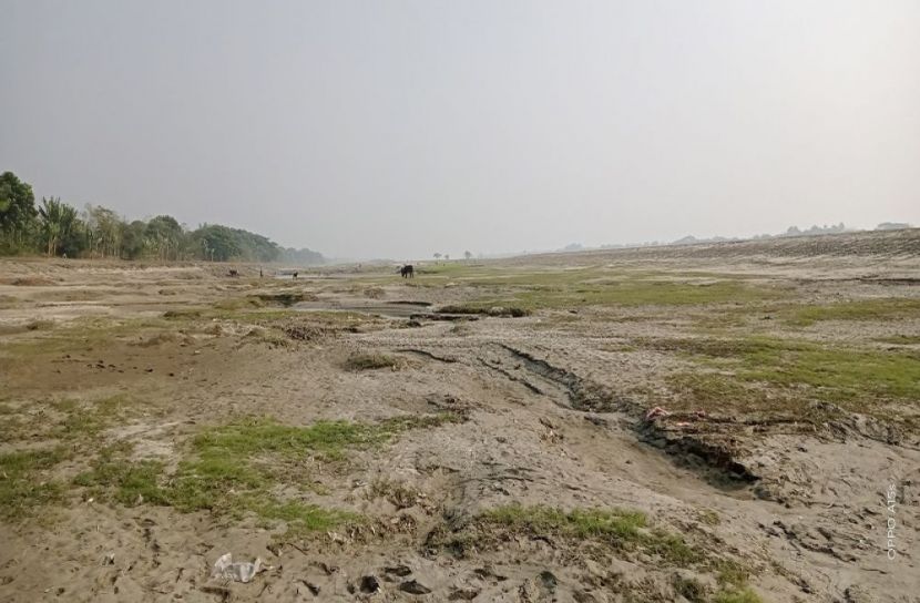 নদীর নাব্য হারিয়ে আবাদি জমিতে পরিণত