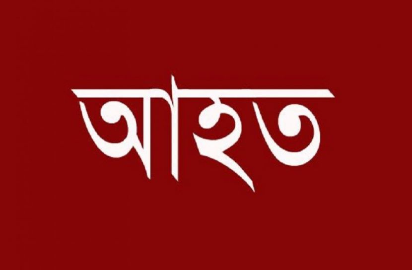 ভালুকায় ছাগলের ধান খাওয়া নিয়ে হামলা, আহত ৫