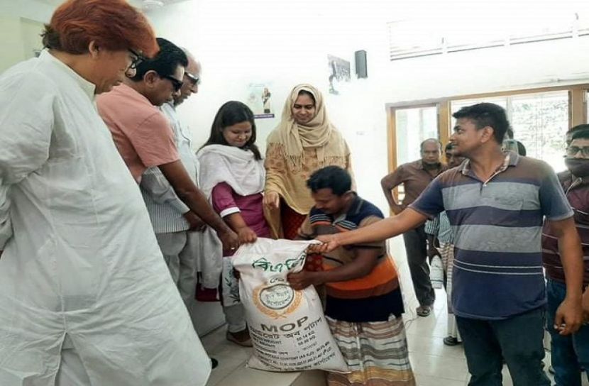 বড়াইগ্রামে বিনামূল্যে ধানের বীজ ও সার বিতরণ