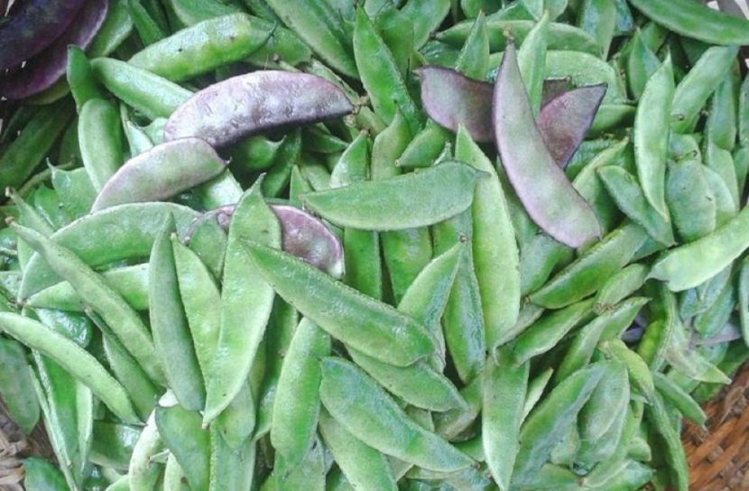 শিমের কেজি ১০০ টাকা