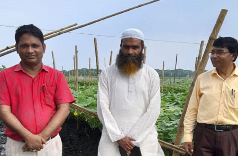 ঈশ্বরগঞ্জে ভাসমান বেডে সবজি চাষ