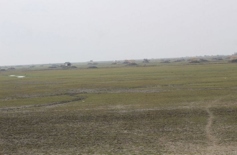 ফের ৬০০ একর খাস জমি দখল