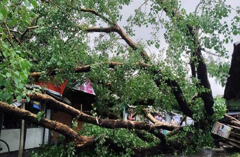কালবৈশাখীর তাণ্ডবে লণ্ডভণ্ড ঠাকুরগাঁও
