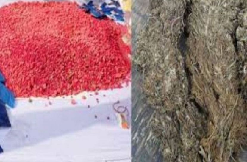 ১ কেজি গাঁজা  ও ১০৭০ ইয়াবা উদ্ধার