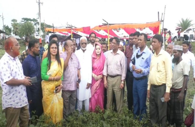 দক্ষিণাঞ্চলের কৃষিতে বিপ্লব নিয়ে আসবো