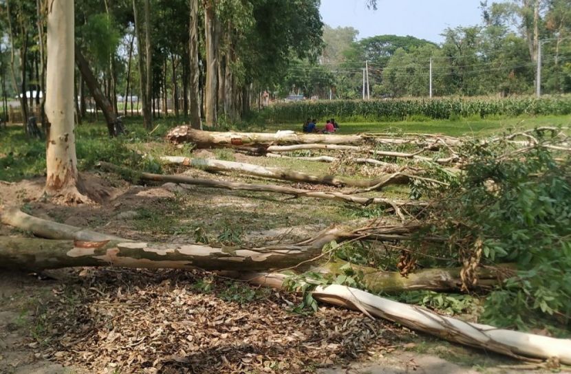 সরকারি খাস জমিতে আশ্রয়ণ প্রকল্প স্থাপনের সিদ্ধান্ত