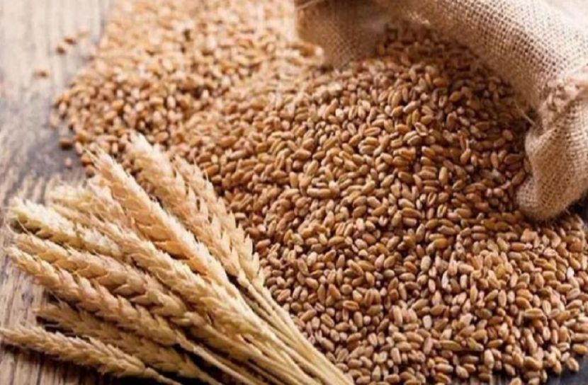 ভারত গম রফতানি বন্ধ করায় বিকল্প খুঁজছে ঢাকা