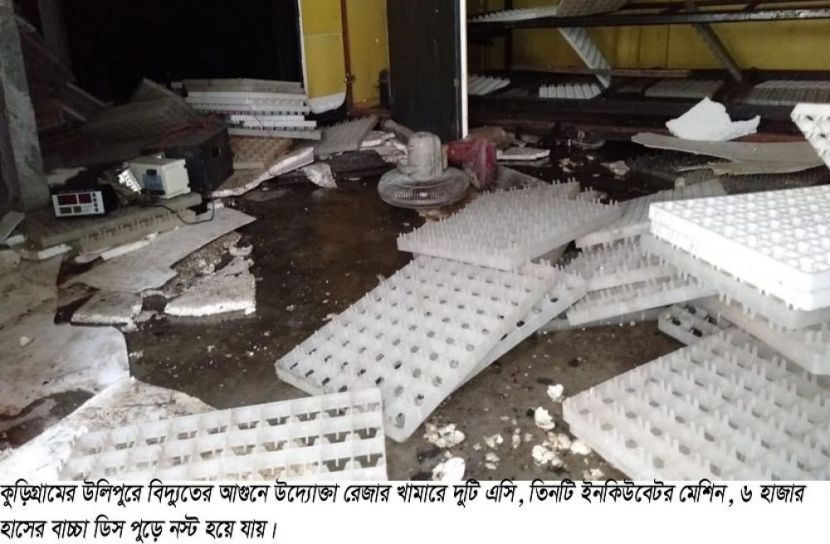 ক্ষতির মুখে সফল উদ্যোক্তা রেজা