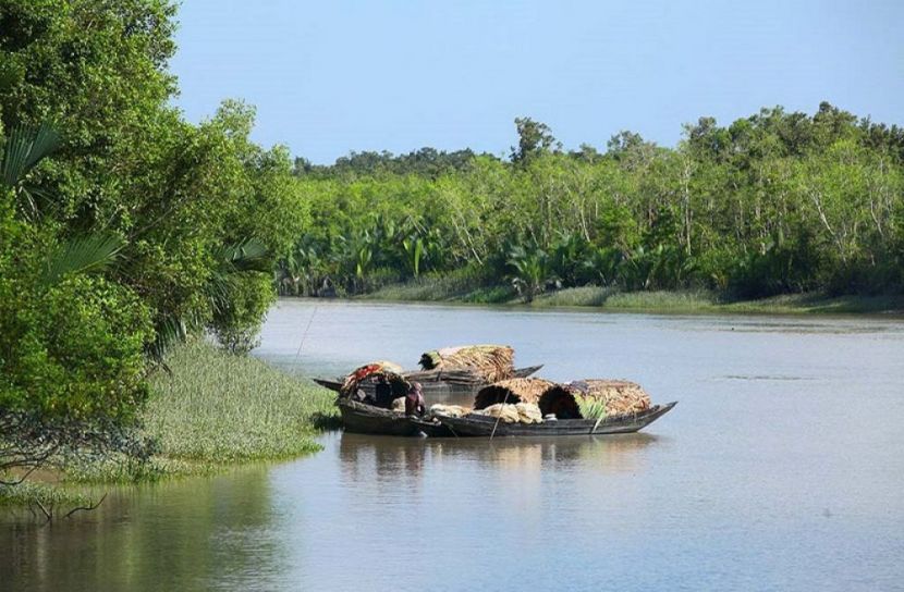 সুন্দরবনে প্রবেশ নিষিদ্ধ