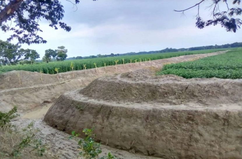 খাল খনন কেন্দ্র করে সংঘর্ষে আহত ১০