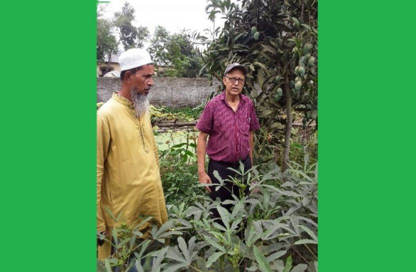 পুষ্টি ও মিশ্র ফল বাগানের সফল উদ্যোক্তা আউয়াল