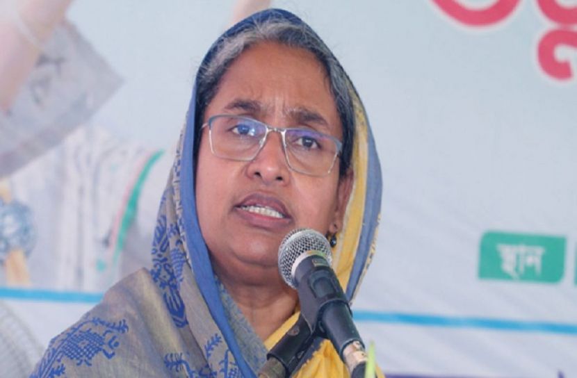 শিক্ষামন্ত্রী ডা. দীপু মনি (ফাইল ছবি)