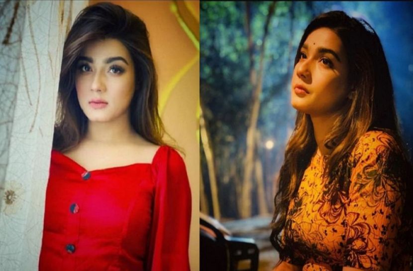 পশুদের চিন্তায় রাতে ঘুম হচ্ছে না