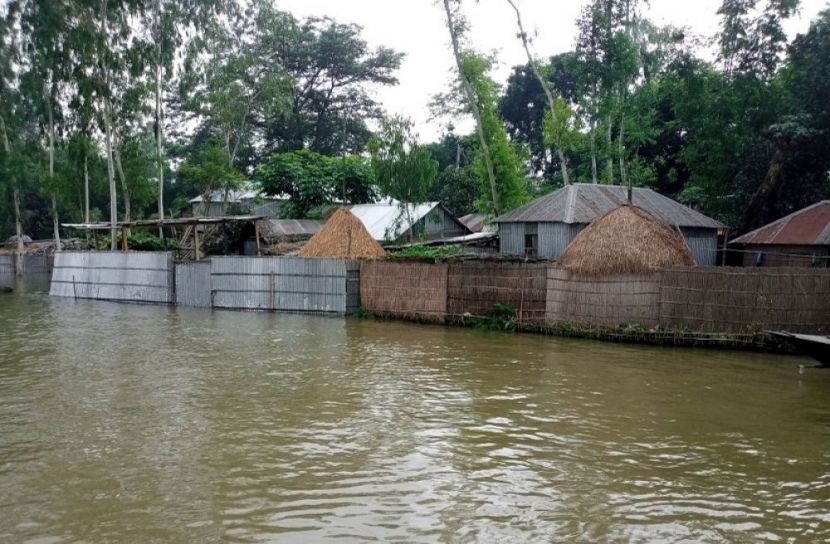 উলিপুরে বানভাসিদের খাদ্য সংকট